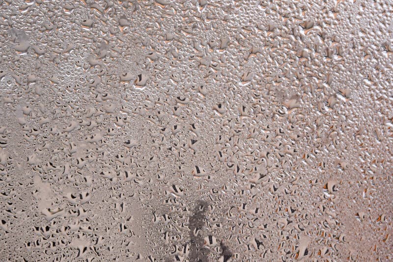 Plain White Background Zoom - Zoom Backgrounds - Communications and