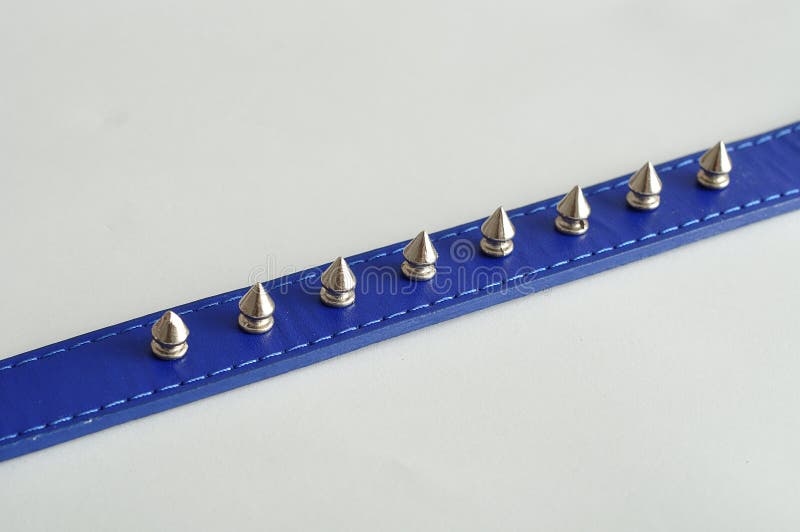 Blue dog collar decorated with spikes