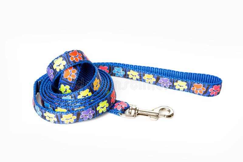 Blue dog leash stock image. Image of animal, canine 124847355