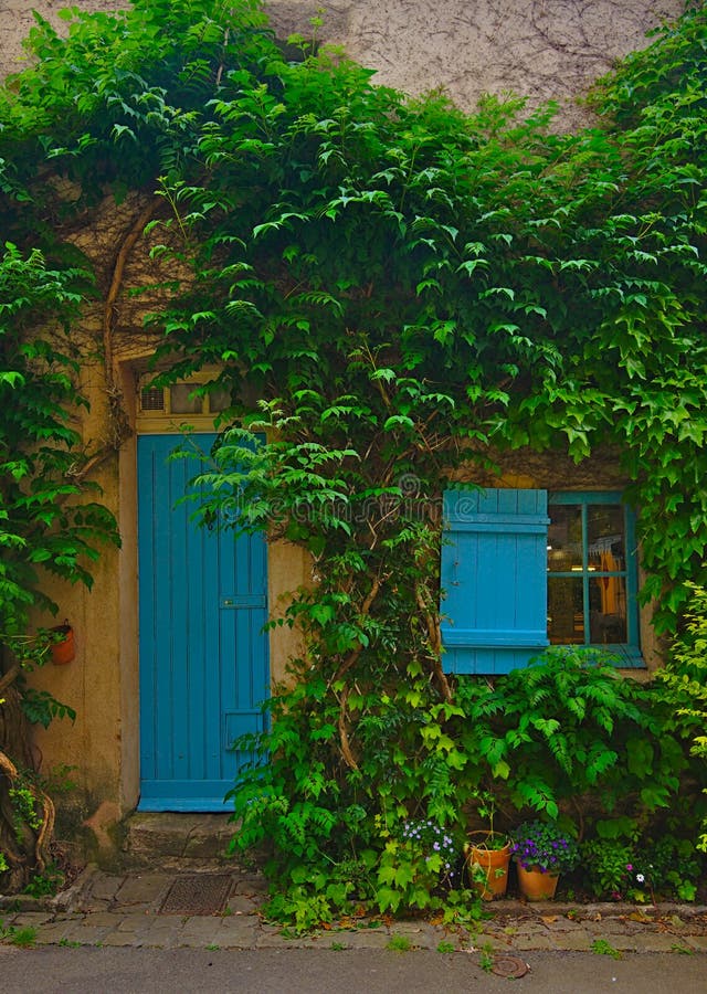 Blue window  and door . Wall covered with ivy - Brittany France. Blue window  and door . Wall covered with ivy - Brittany France