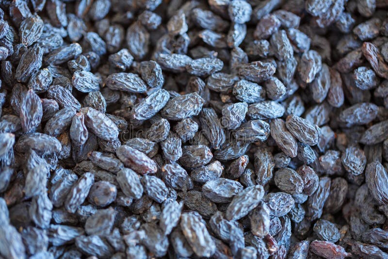 Blue Dried Raisins Closeup Top View Stock Photo Image of bowl, fruit