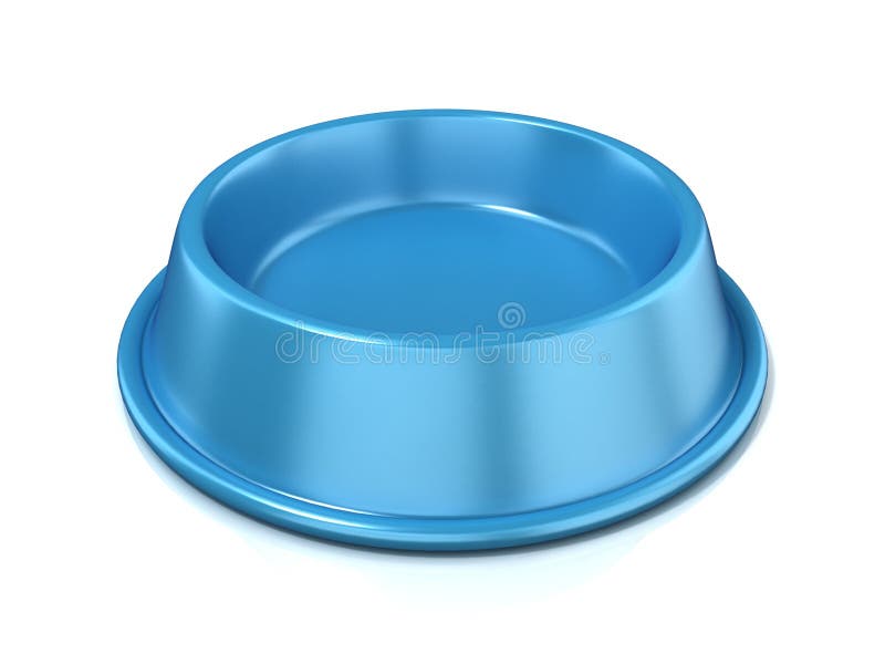 empty cat bowl