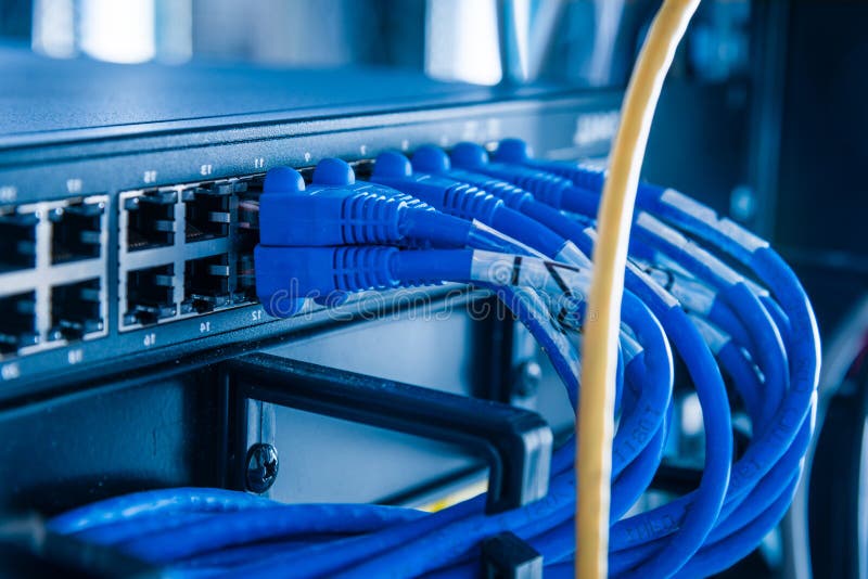 Blue ethernet cables connected to switch stock image