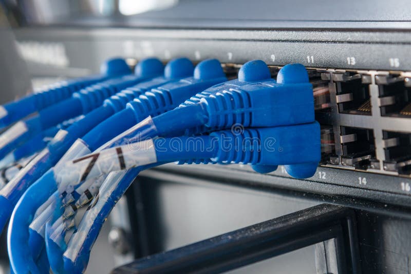 Blue ethernet cables connected to switch royalty free stock image