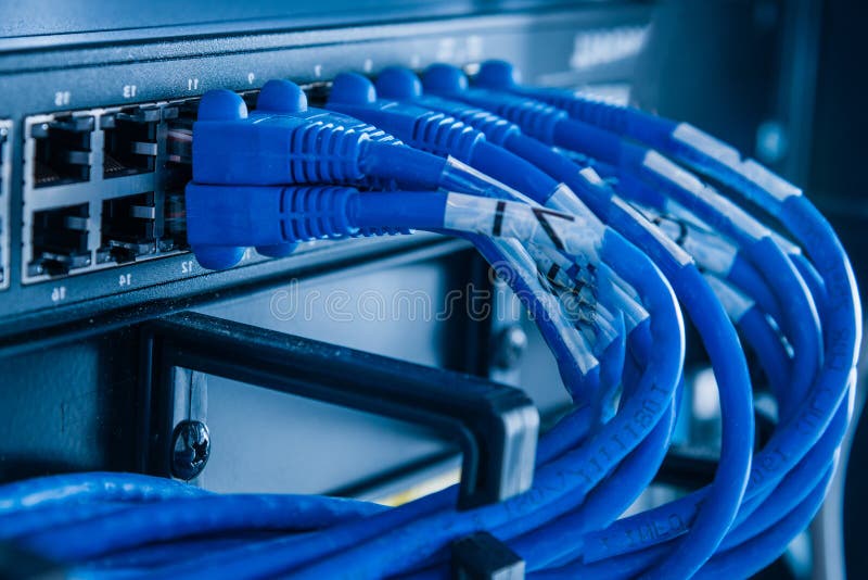 Blue ethernet cables connected to switch stock image
