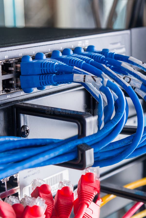 Blue ethernet cables connected to switch stock photo