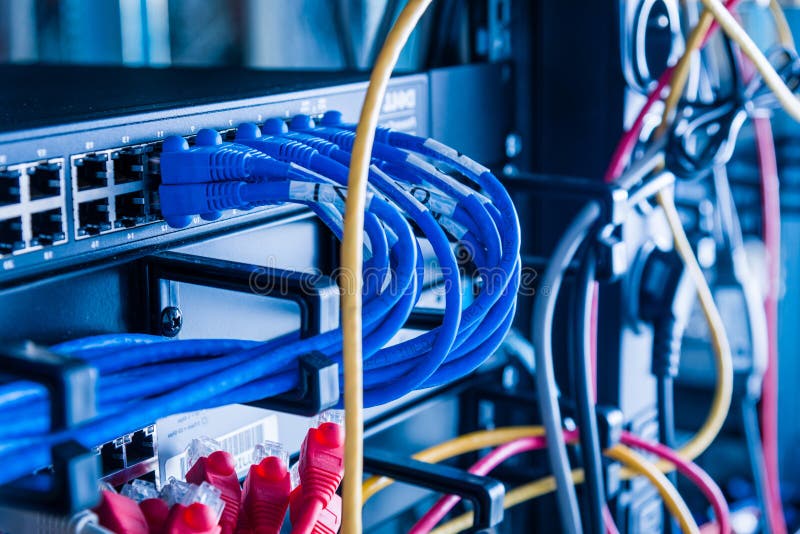 Blue ethernet cables connected to switch royalty free stock image