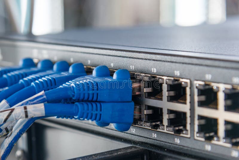 Blue ethernet cables connected to switch royalty free stock photos