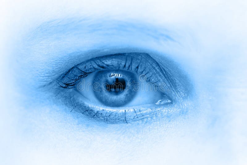 Closeup blue eye stock image. Image of bright, pupil 1622211
