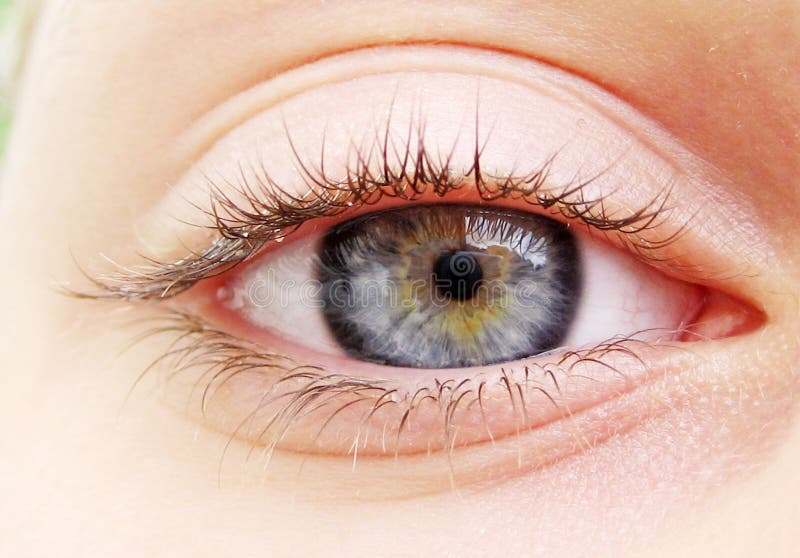 Blue eye stock image