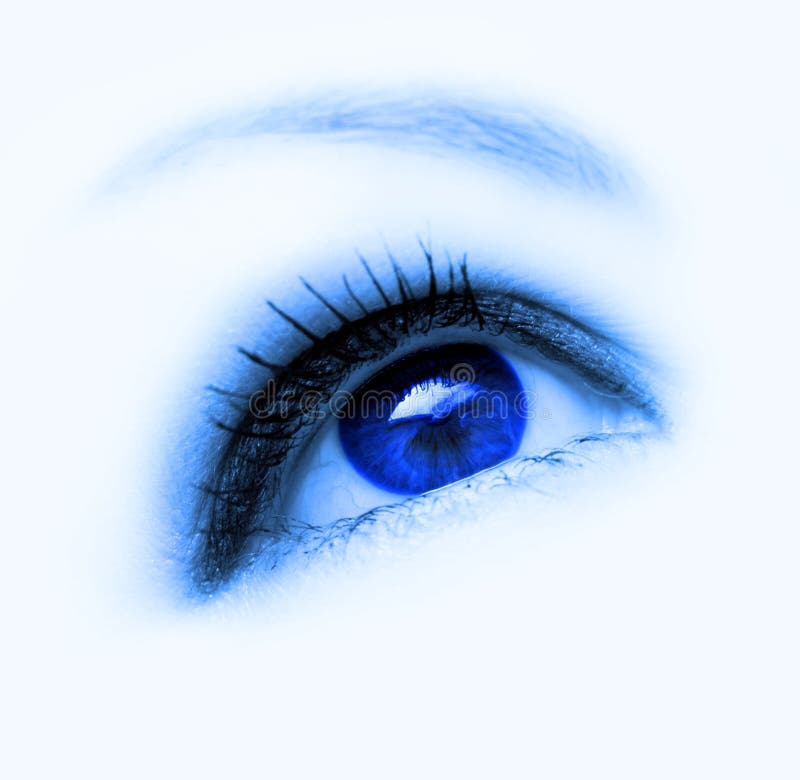 Blue eye stock image. Image of female, eyebrow, fashion 9506641