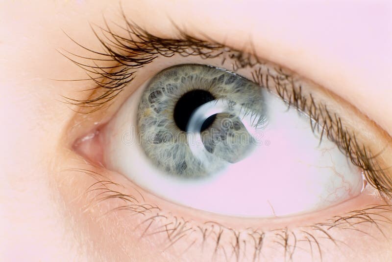 Blue eye in macro stock images