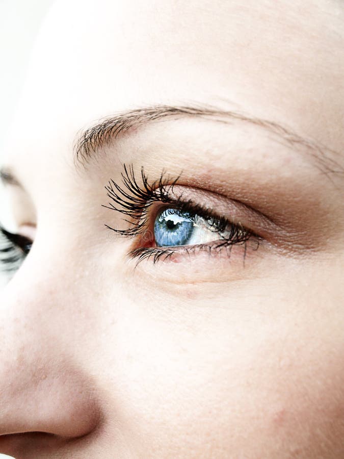 Blue eyes stock image Blue eyes stock image