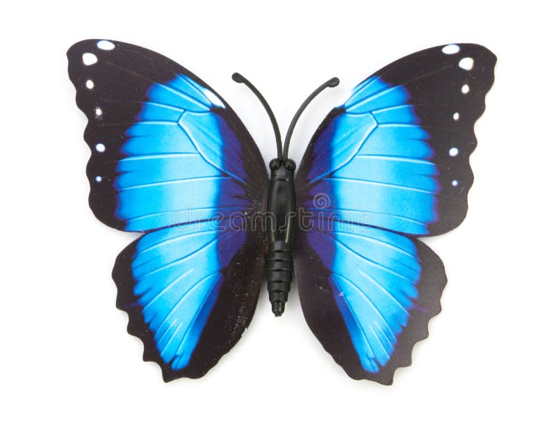 Blue Fake Butterfly Stock Photos Free & RoyaltyFree Stock Photos