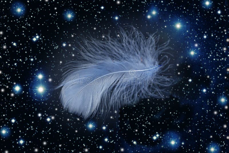 Blue feather falling