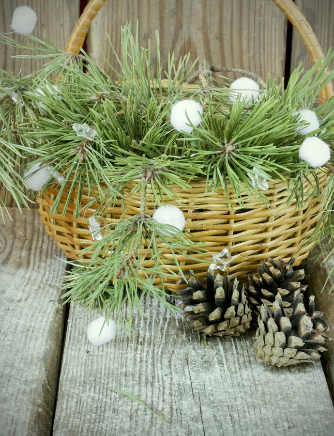 Blue Fir Tree Branches with Pine Cones in a Basket Stock Image Image of pine, basket 62734957