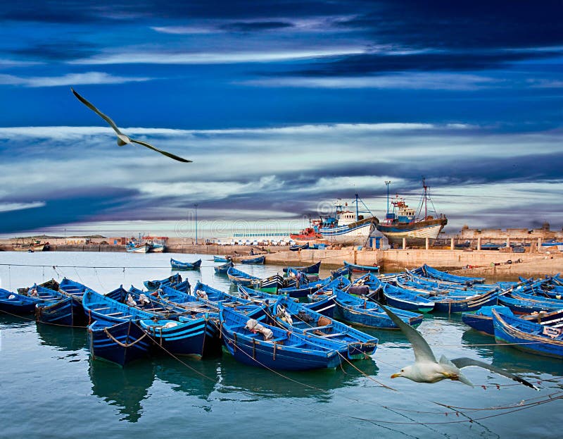 Blue fishing boats on an ocean