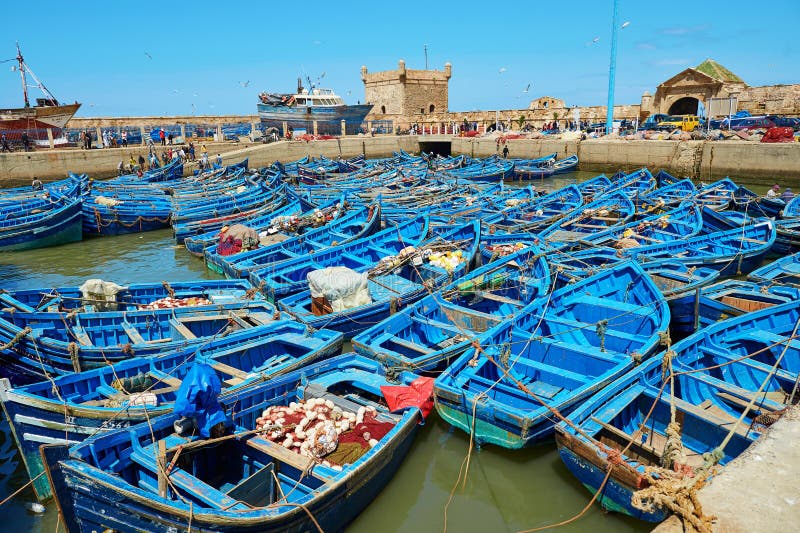 Blue fishing boats in the port of Essaouira, Morocco