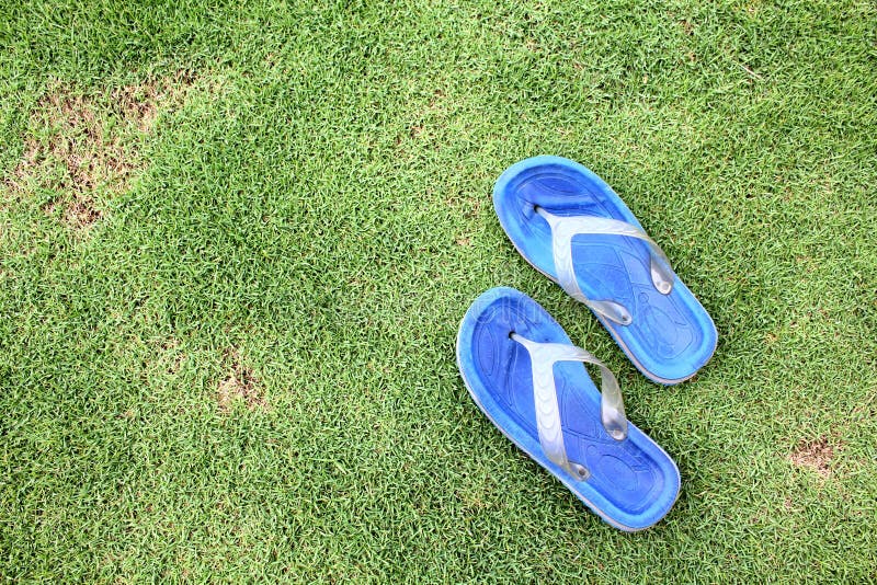 Blue Flip Flop