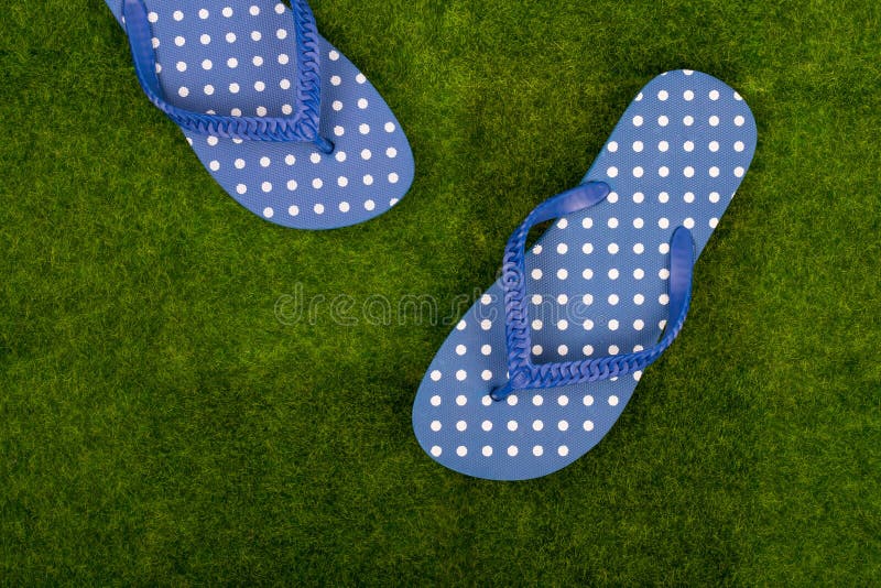 Blue Flip Flops in Polka Dots on the Grass Meadow Stock Photo - Image ...