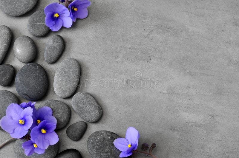 Blue flower and stone zen spa on grey background stock photography Blue flower and stone zen spa on grey background stock photography