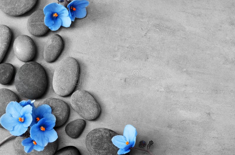 Blue Flower and Stone Zen Spa on Grey Background Stock Image - Image of  plant, background: 146437593