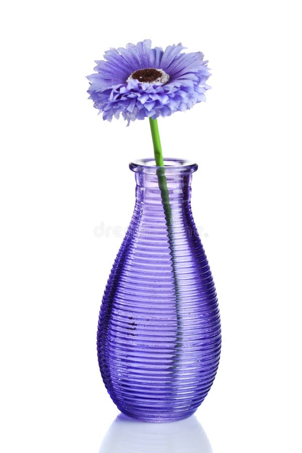 Blue Flower In Vase Isolated White Stock Image of blue flower vase isolated white violet transparent background