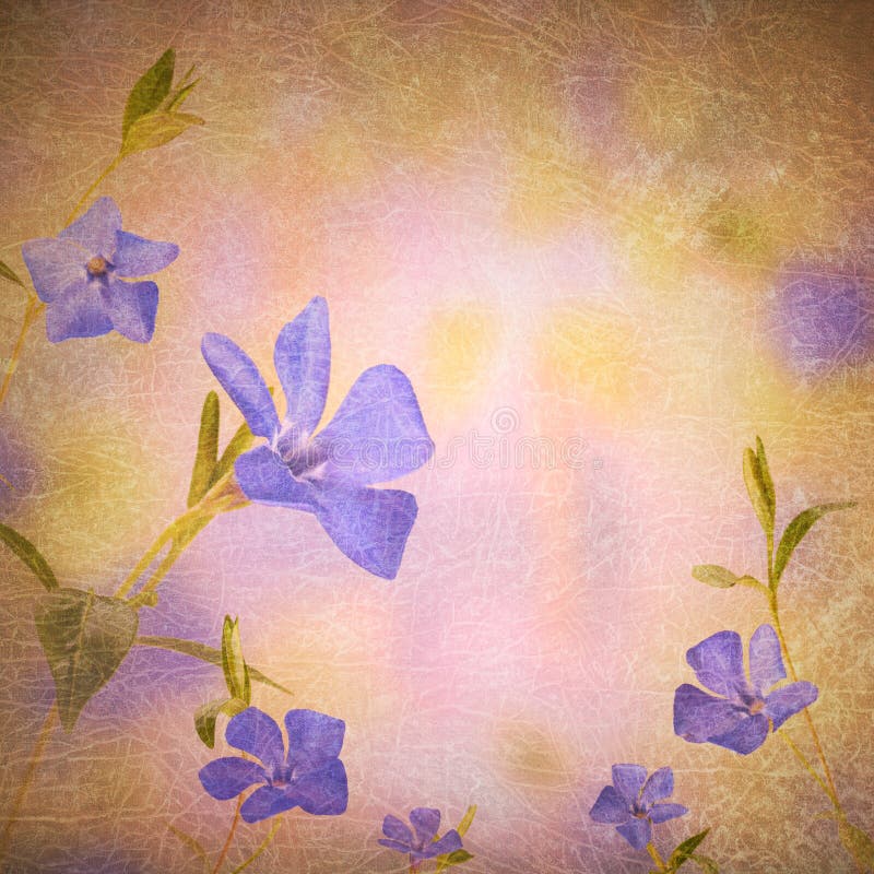 Japanese Park Blue Flowers Stock Illustrations 176 Japanese Park Blue