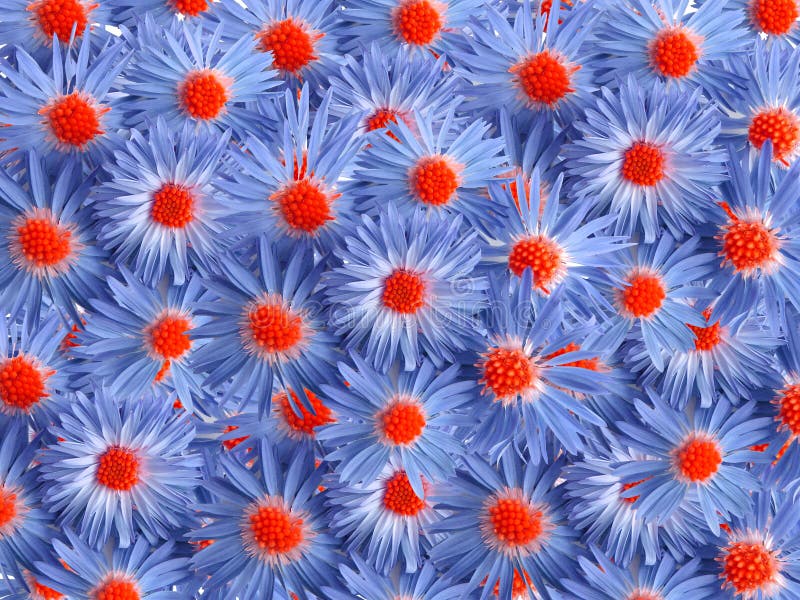 Blue flowers for decoration royalty free stock photo