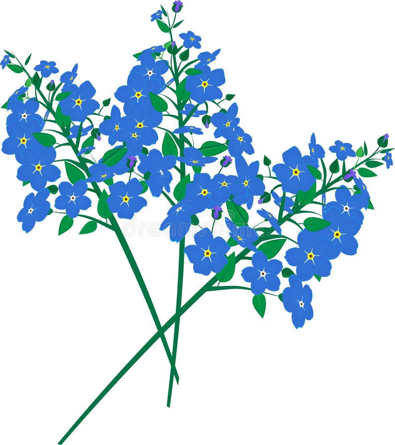 Blue flowers stock vector. Illustration of vector, violets - 59417443