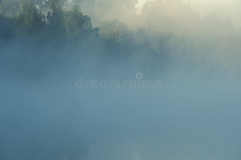 Blue fog on the lake in the forest in the early morning