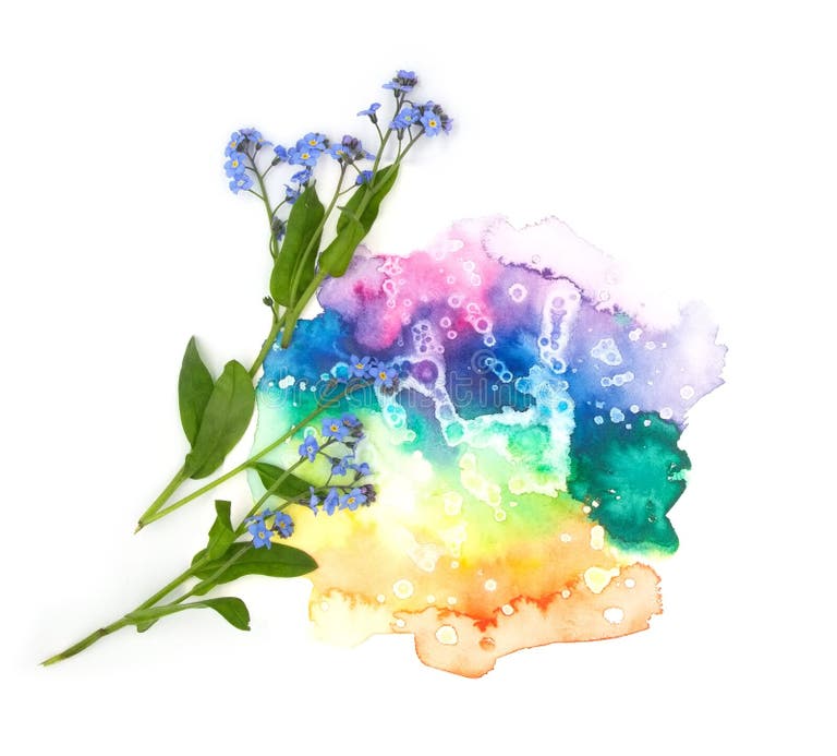 A4 Red Blue Flower Stock Photos Free Royalty Free Stock Photos From a4-red-blue-flower-stock-photos-free-royalty-free-stock-photos-from