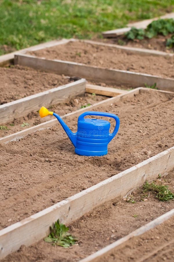Gardening Tool Watering Can in Garden. Stock Image Image of hobby