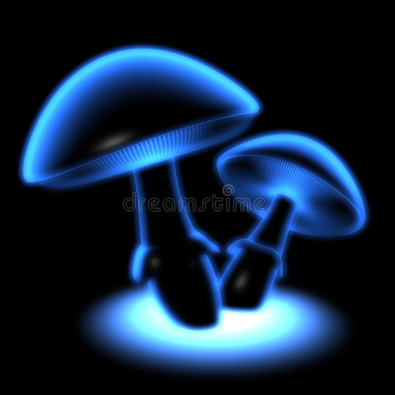 Blue glowing mushrooms royalty free illustration