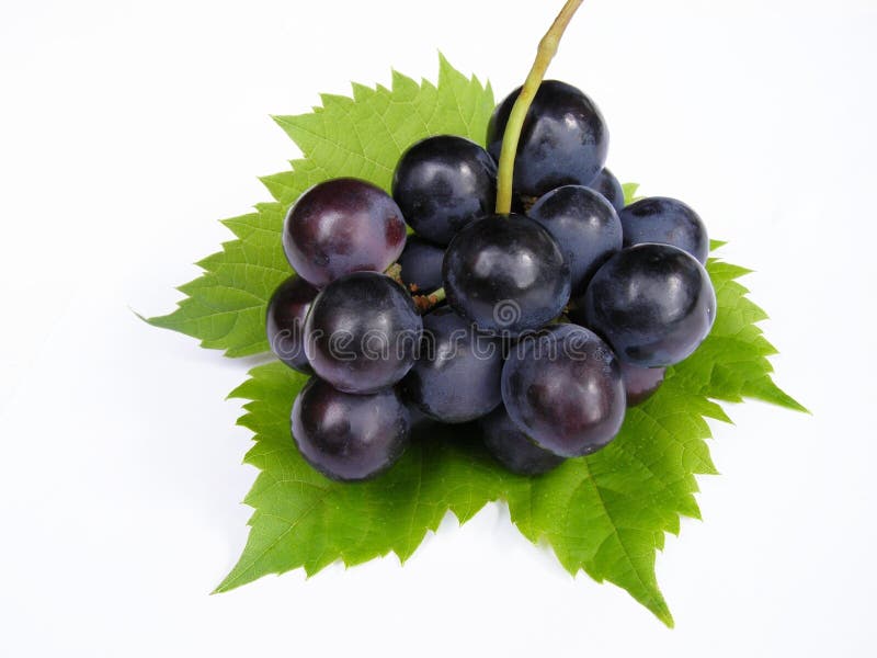 Blue grapes