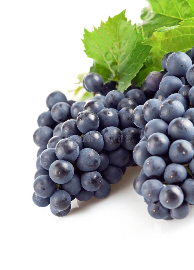 Blue grapes with green leaf