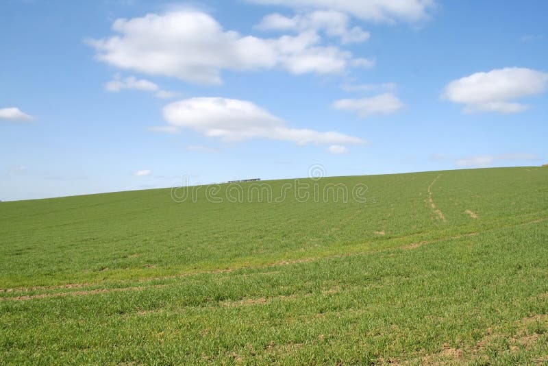 Blue and green