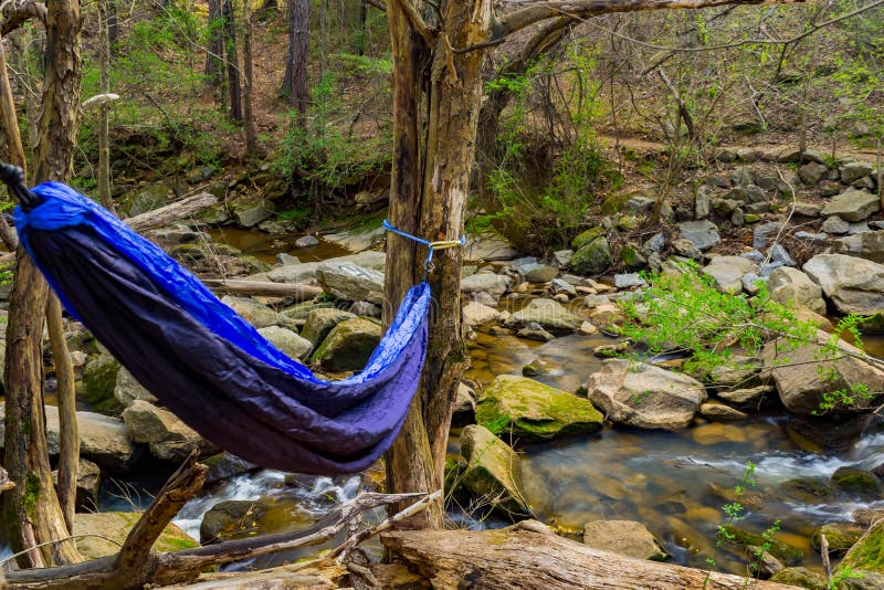Blue Hammock in the Woods with a Small River Stock Image Image of
