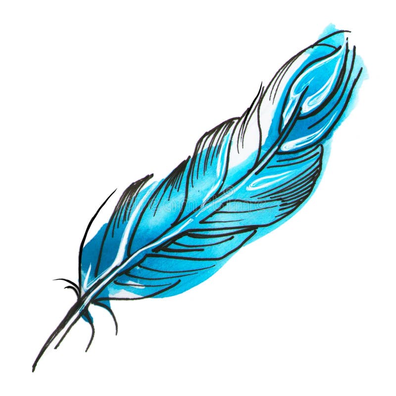 Blue Feather Stock Illustrations – 27,368 Blue Feather Stock ...