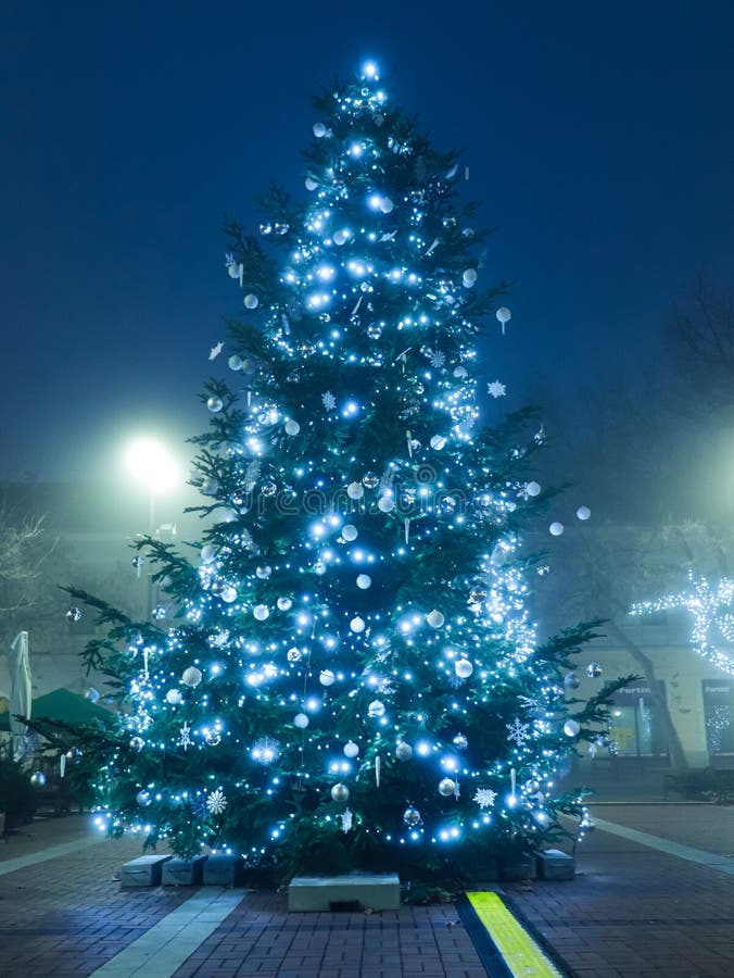 Blue hour cristhmas tree stock image. Image of street - 166488981