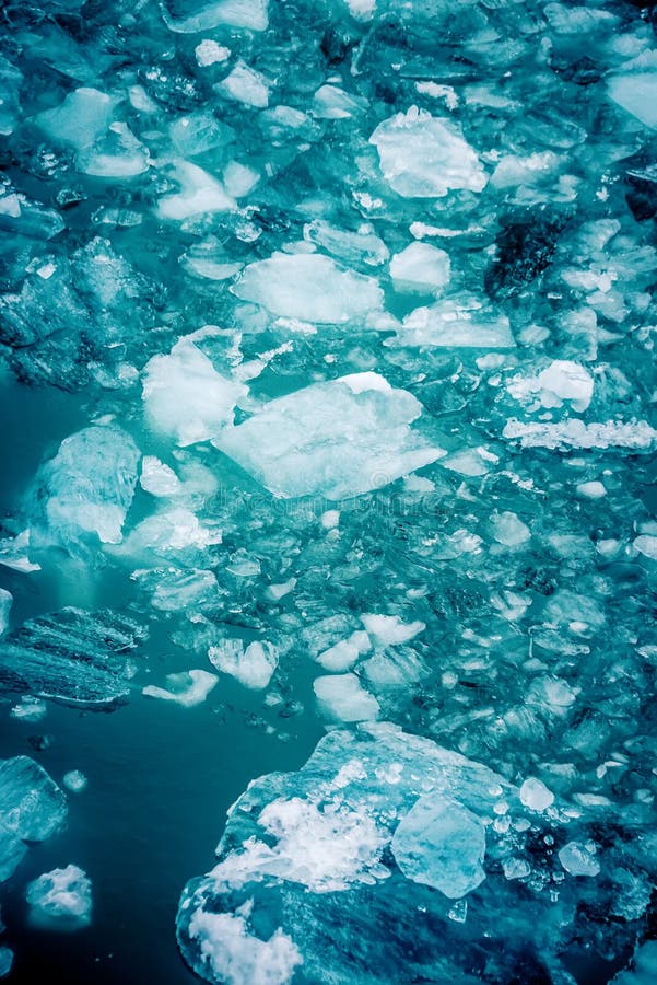 Blue Icebergs and Ice Chunks in Water Nearby Alaska Stock Image Image