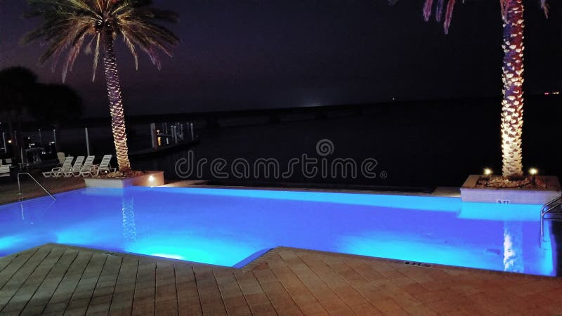 Blue Infinity Pool with Palm Trees stock images