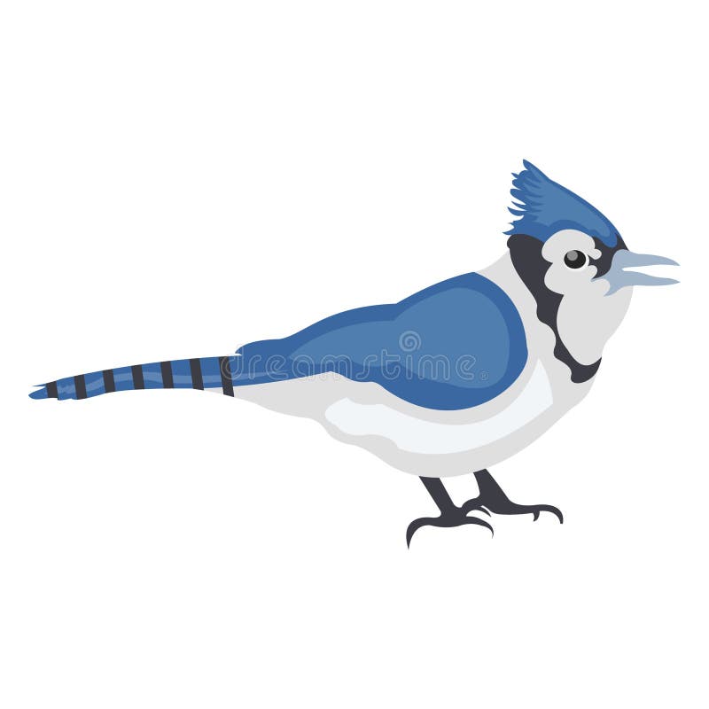 flying blue jay outline