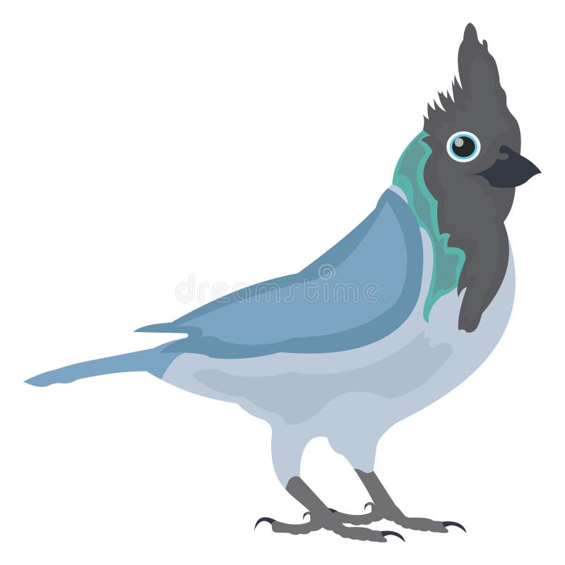 Blue Jay Icon Stock Illustrations 156 Blue Jay Icon Stock Illustrations Vectors Clipart Dreamstime Blue Jay Icon Stock Illustrations 156 Blue Jay Icon Stock Illustrations Vectors Clipart Dreamstime