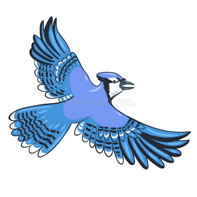 Bluejay Feather Stock Illustrations 54 Bluejay Feather Stock Illustrations Vectors Clipart Dreamstime Bluejay Feather Stock Illustrations 54 Bluejay Feather Stock Illustrations Vectors Clipart Dreamstime