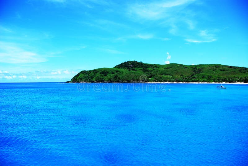 Three Palm Trees Over Blue Lagoon in Fiji Stock Photo - Image of ...