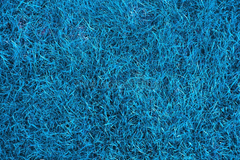 Blue Lawn Mower On Green Grass Cut The Grass Stock Photo Image of garden, messy 42412038