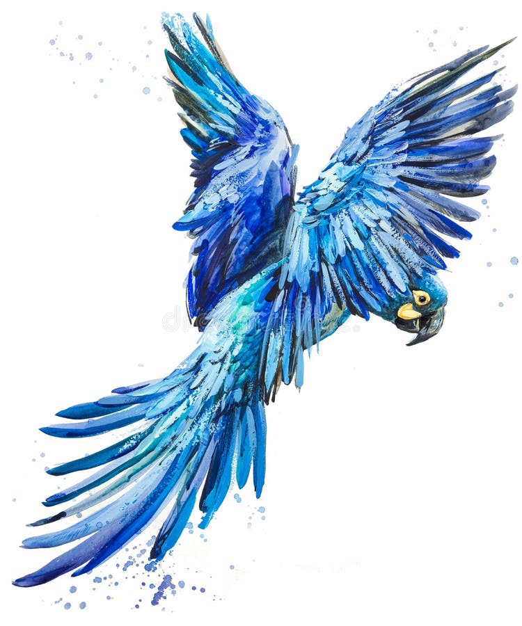 Blue lear macaw. tropical bird watercolor illustration. Blue parrot flying. Brazilian wildlife fauna.
