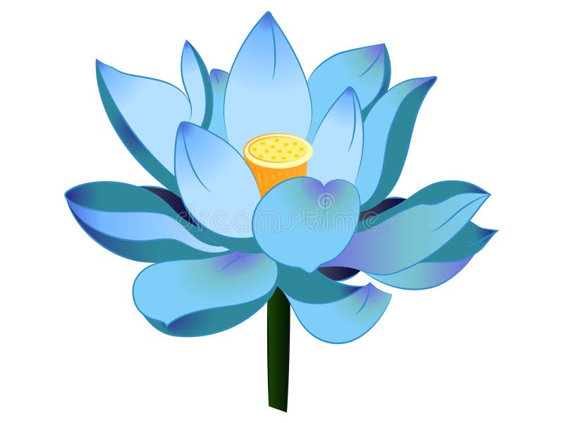 Blue Lotus Vector Illustration Clipart Stock Image