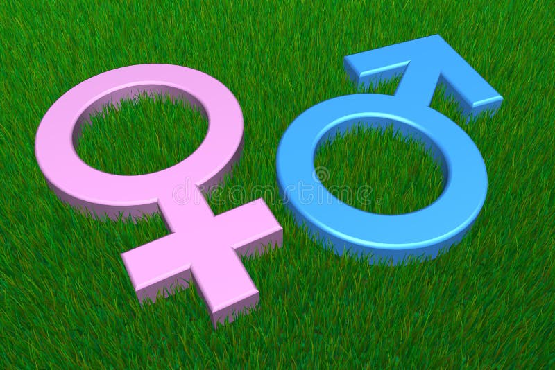 Blue Male/Pink Female Symbols on Grass stock illustration